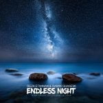 دانلود آهنگ  رضا اطمینان و رامین قاسمی به نام Endless Night - 